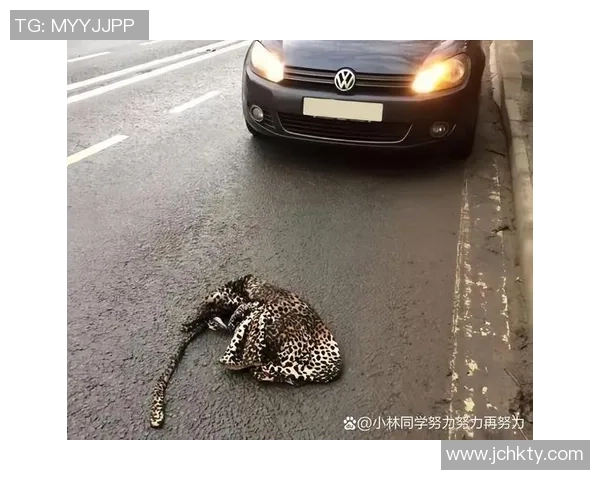 路考时遇到路中间遛狗的尴尬时刻 我竟然因为怕扣分不敢按喇叭 路考时遇到路中间遛狗的尴尬时刻 我竟然因为怕扣分不敢按喇叭