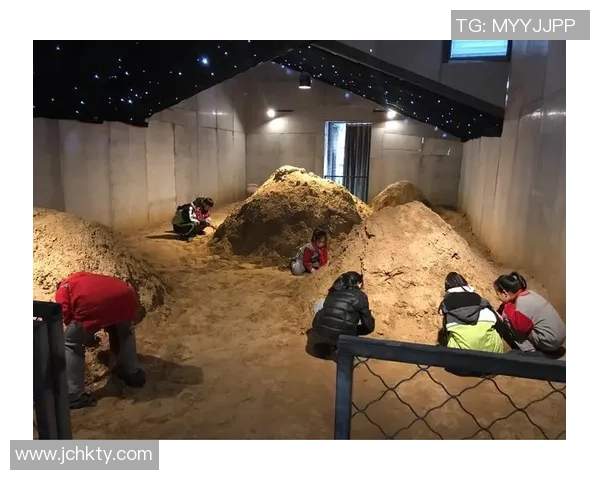 媒体人:小杨已深刻领悟在NBA要先发制人 自信勇敢多动脑 媒体人:小杨已深刻领悟在NBA要先发制人 自信勇敢多动脑